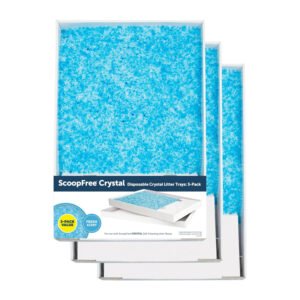untitled 23.jpg
