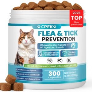 pet2.1.jpg